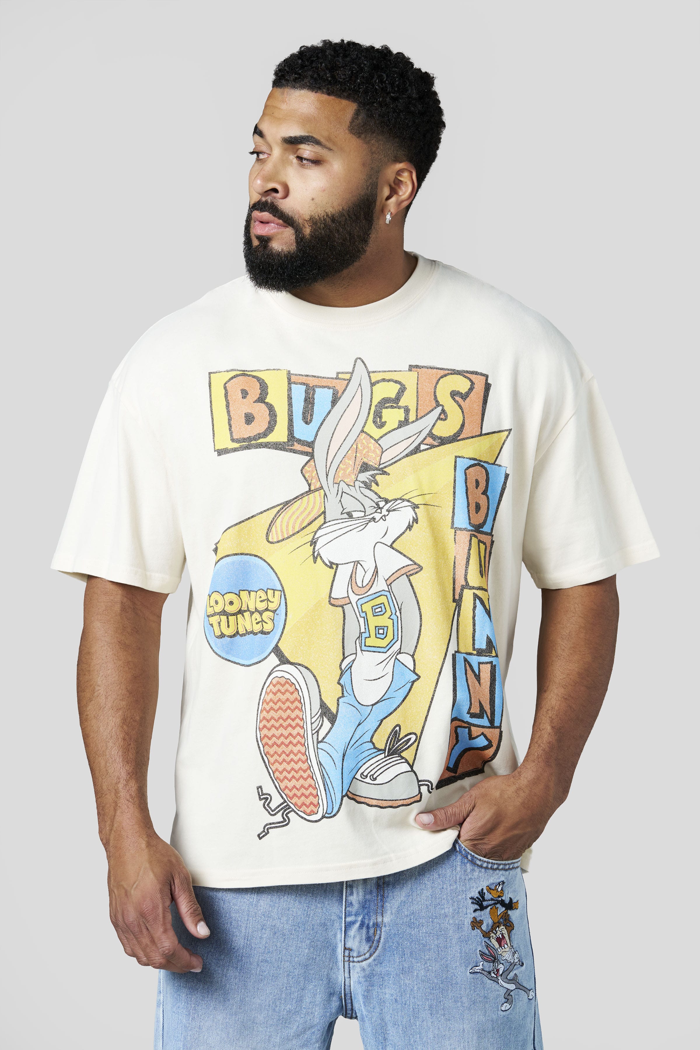 4291 - Looney Tunes Vintage Tees