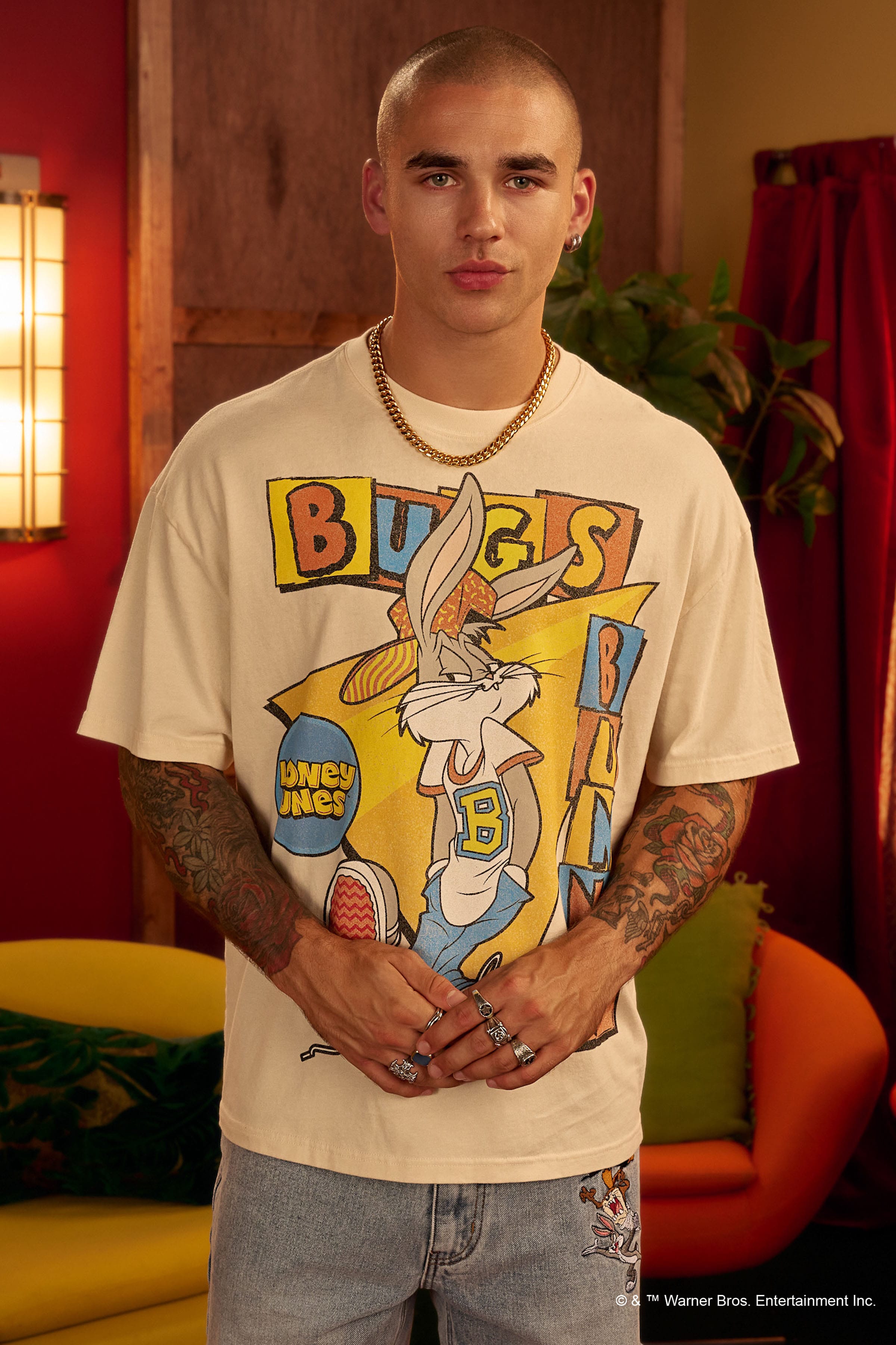 4291 - Looney Tunes Vintage Tees