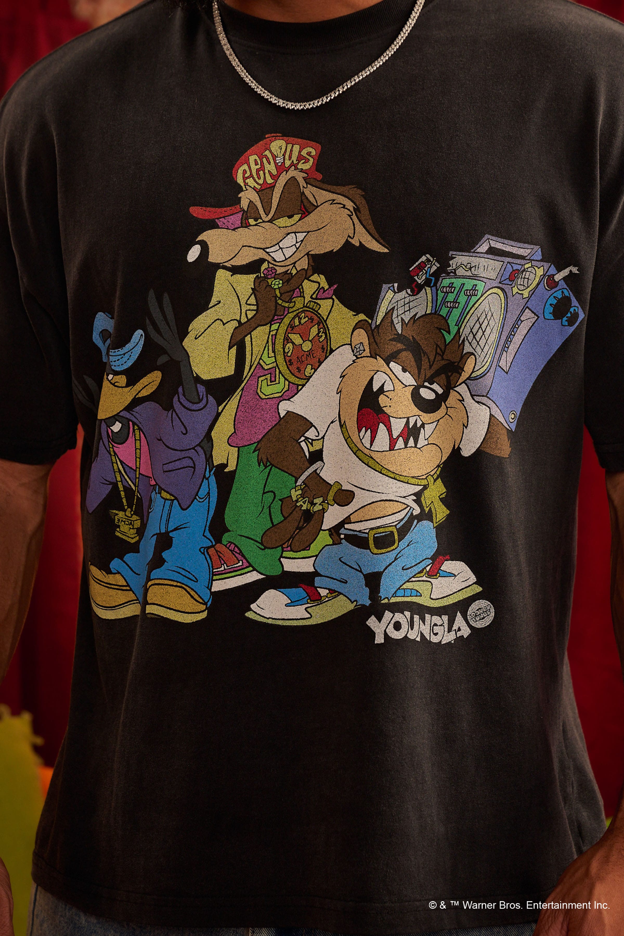 4291 - Looney Tunes Vintage Tees